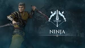 Ninja